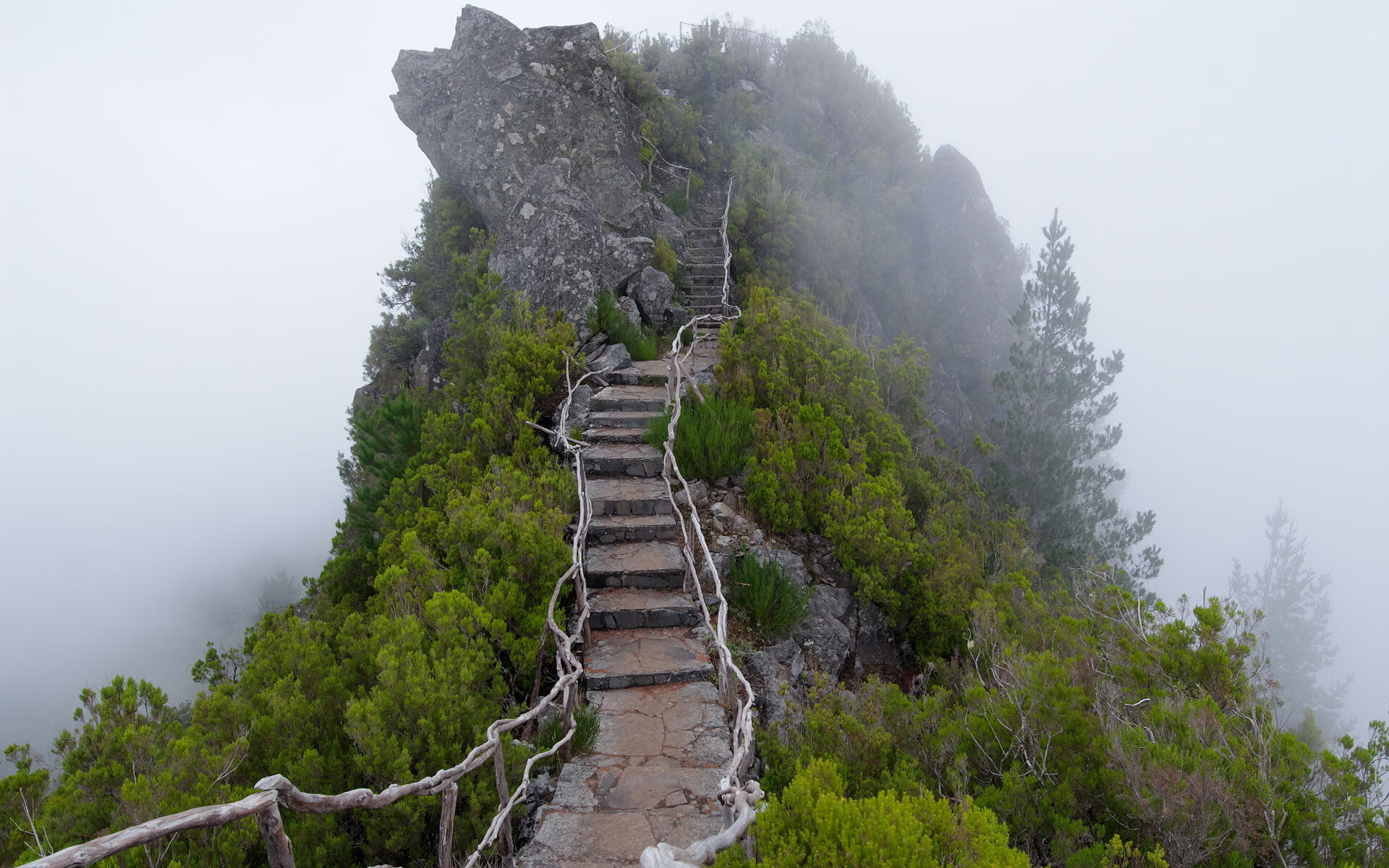 跨界神迹,当黄蜂蛰落太阳时,一个叫英格拉姆的男人正在欧冠之巅