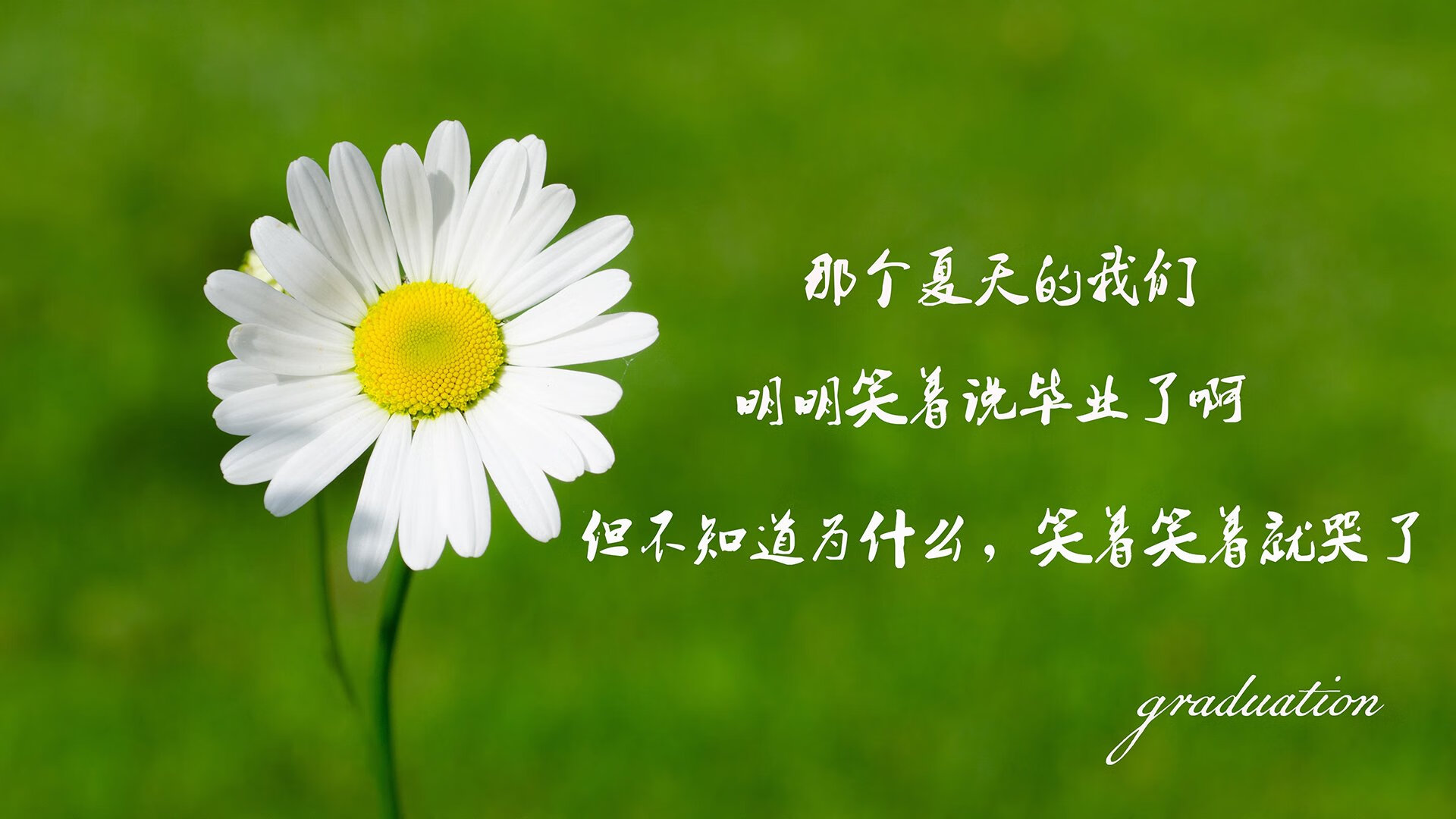 黄蜂毒刺刺穿长城,美加墨世界杯预选赛惊现小球队弑杀豪门