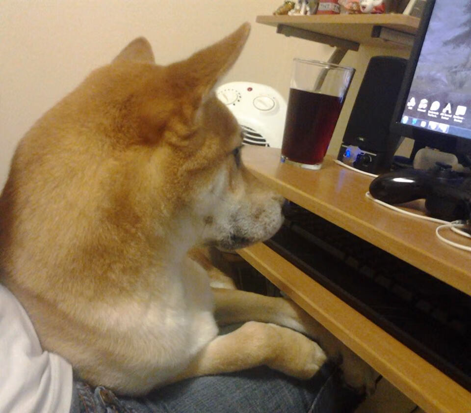 草根英雄范弗利特燃爆全场,凯尔特人攻克制胜击败马刺