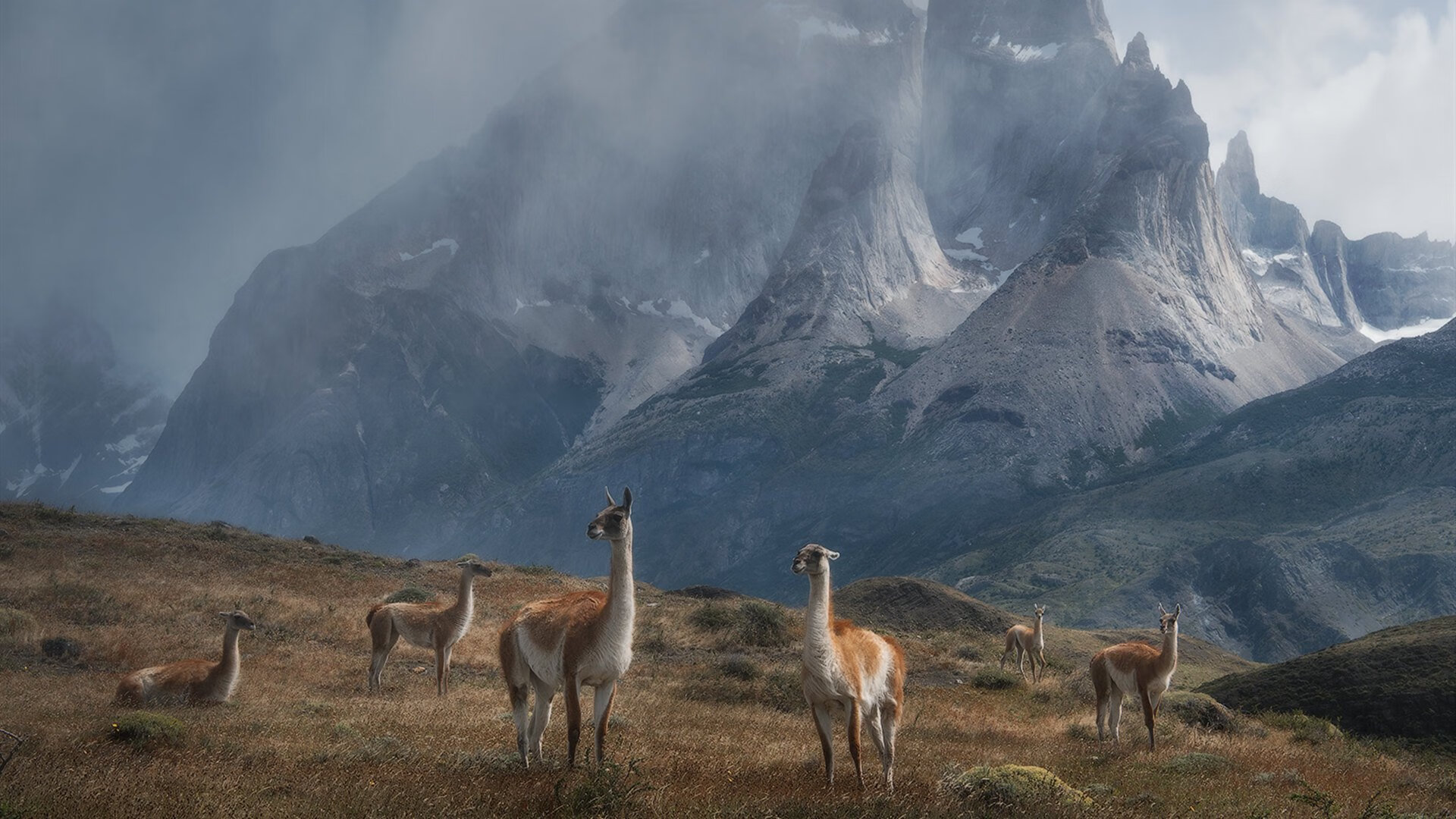 唯一解法，若日尼奥，马竞制霸塞维利亚的蓝色灯塔