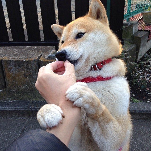 赛道与绿茵的跨界交锋，F1街道赛中的尼日利亚速度力压莱比锡红牛