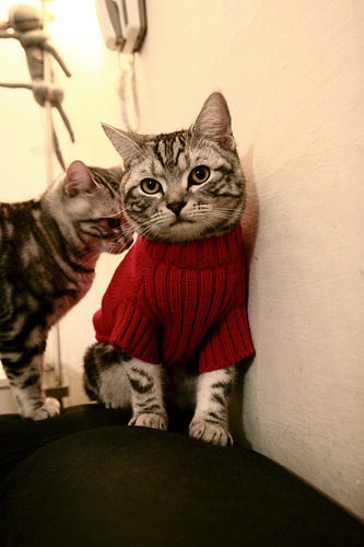 迟来的神明，当库尔图瓦在冰岛人的狂喜中统治全场