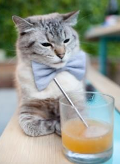 绿茵场与硬木地板的交响，当总决赛之夜响起皮克的防守咏叹调