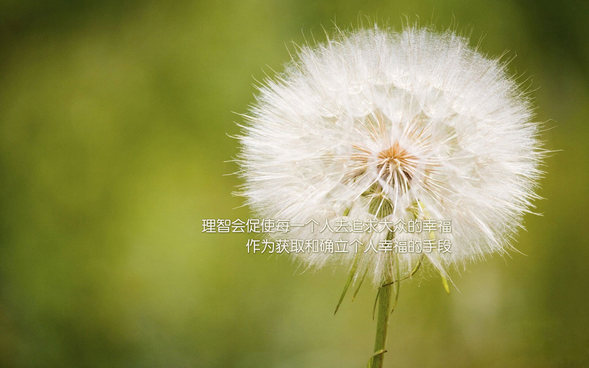 齿轮与镰刀的碰撞，萨城精密机械如何收割步行者狂奔之路？