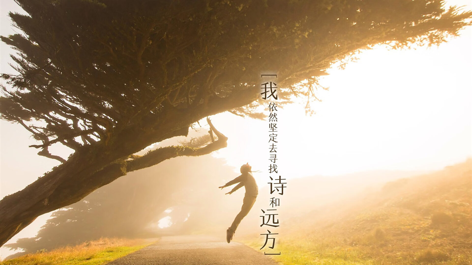 唯一见证,C罗阿根廷首秀,2026世界杯淘汰赛完胜尼日利亚,老将再创神话