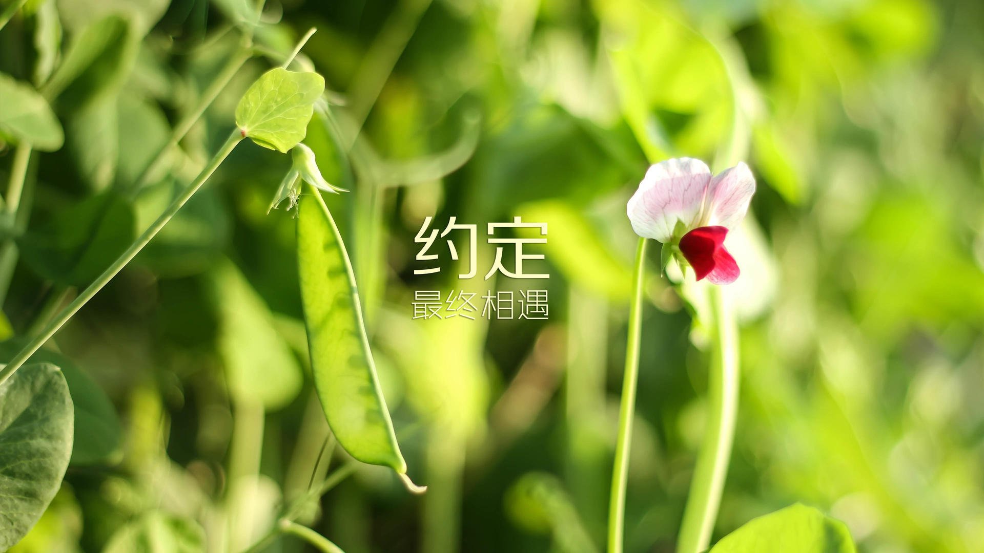 首先,扩展思维,撰写文章标题