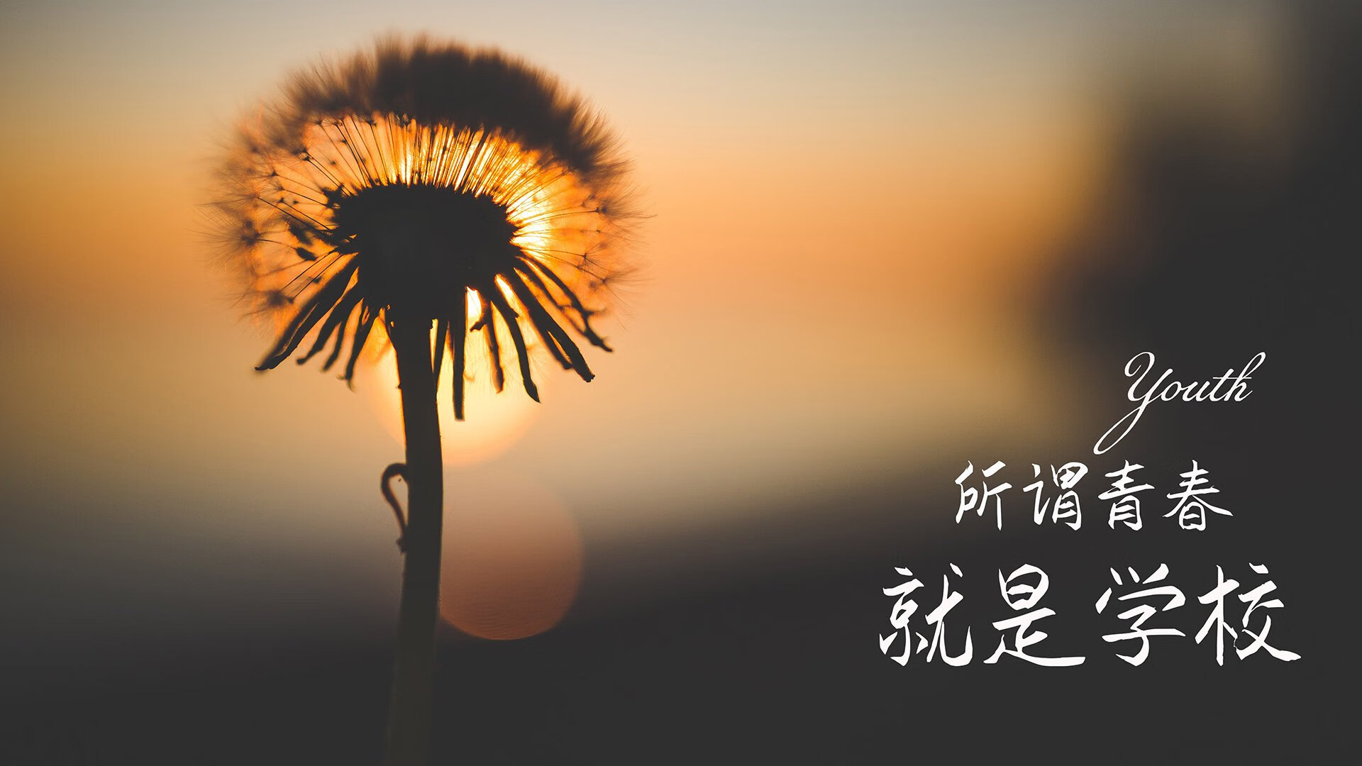 北境之墙的独白,库尔图瓦与丹麦队的血色契约—2026世界杯B组生死战纪实