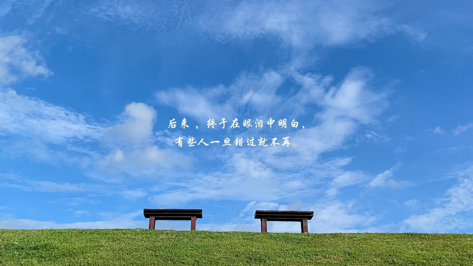 东方匠魂,法兰西锋刃,当反美学的胜利,定义了2026世界杯的唯一性