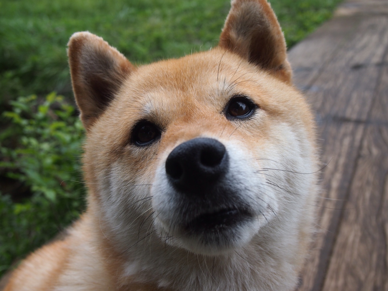充满戏剧张力。要写出唯一性,就不能只写一场球赛的胜负,而要挖掘其背后的文化碰撞、命运瞬间与个人英雄主义的史诗感