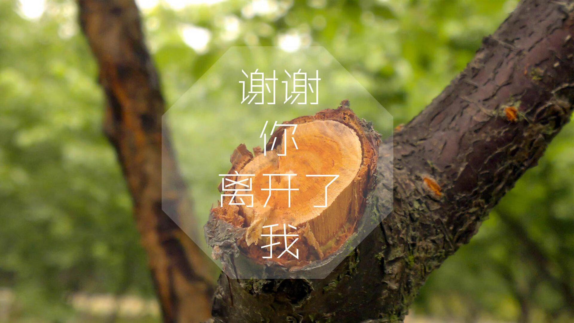 星外来客,德布劳内化身墨西哥指挥官,印度铁桶阵在A组焦点战中灰飞烟灭