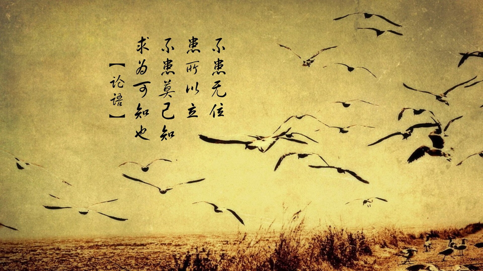 2026世界杯再现北欧神话,芬兰5-0血洗伊拉克,三笘薰硬汉本色闪耀