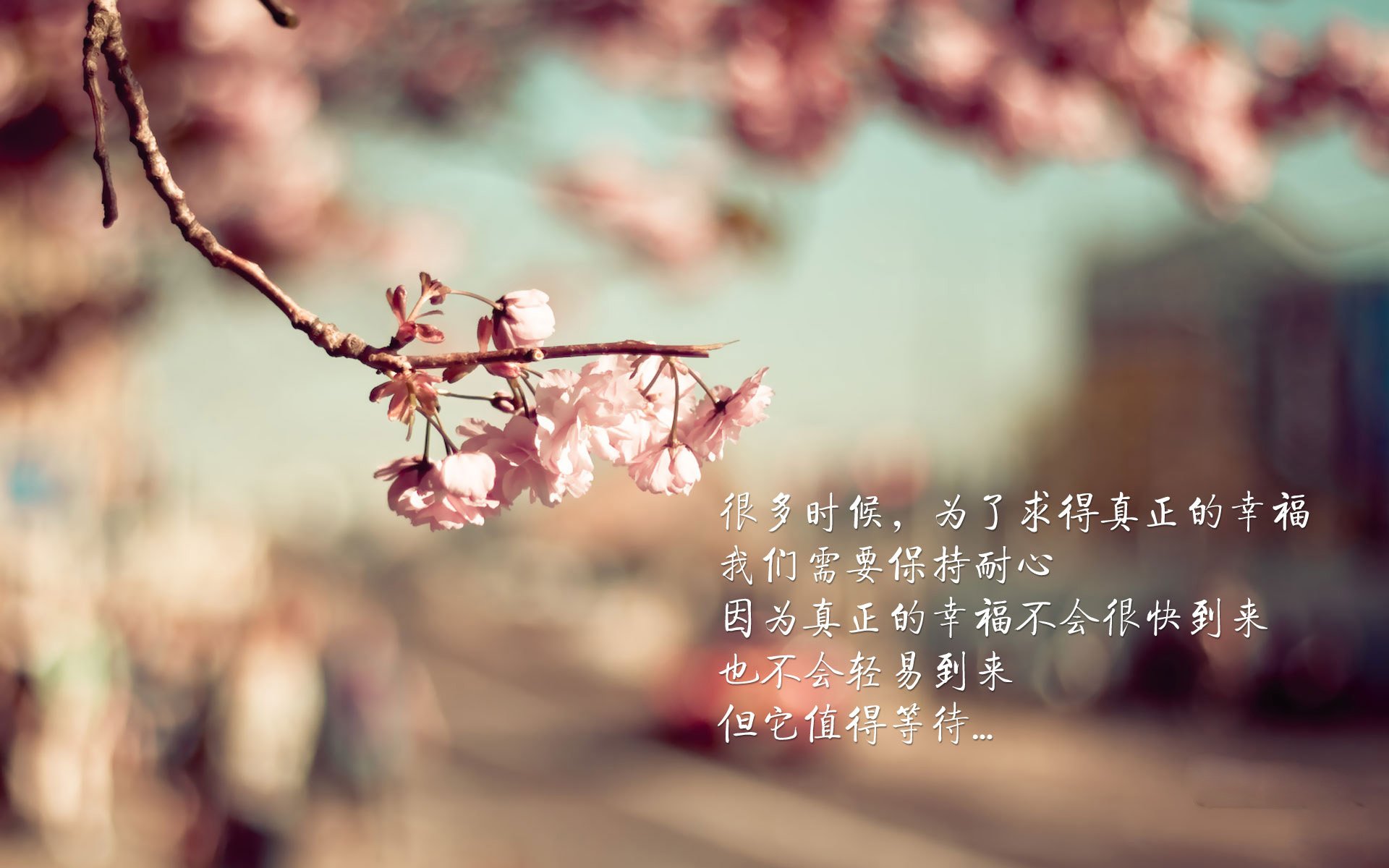 沙漠风暴与仙人掌之刺,齐耶赫独舞难阻墨西哥绝地反击,2026世界杯黑马焦点战写就逆天改命