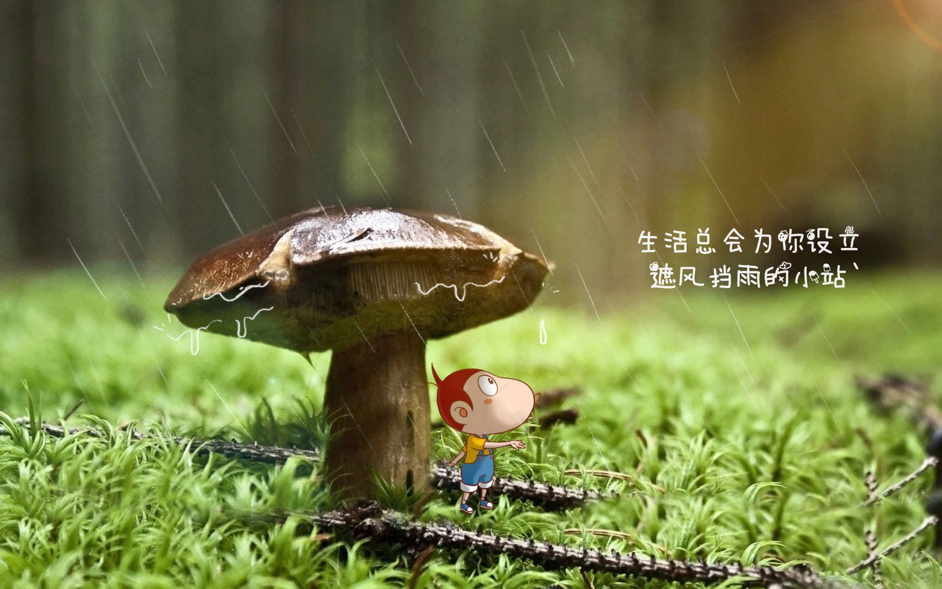 首先,为您构思并扩展一个文章标题
